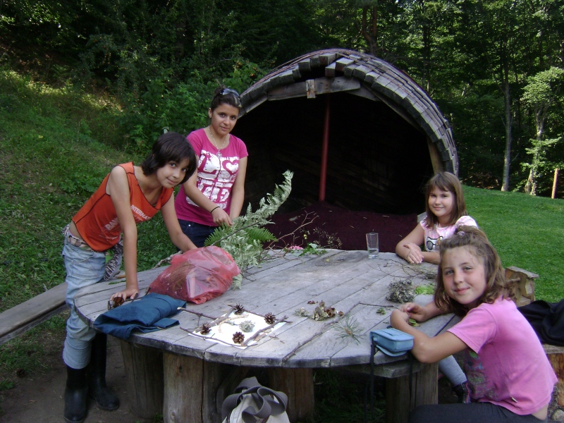 Супер лагер за деца имаше в чудната гора...